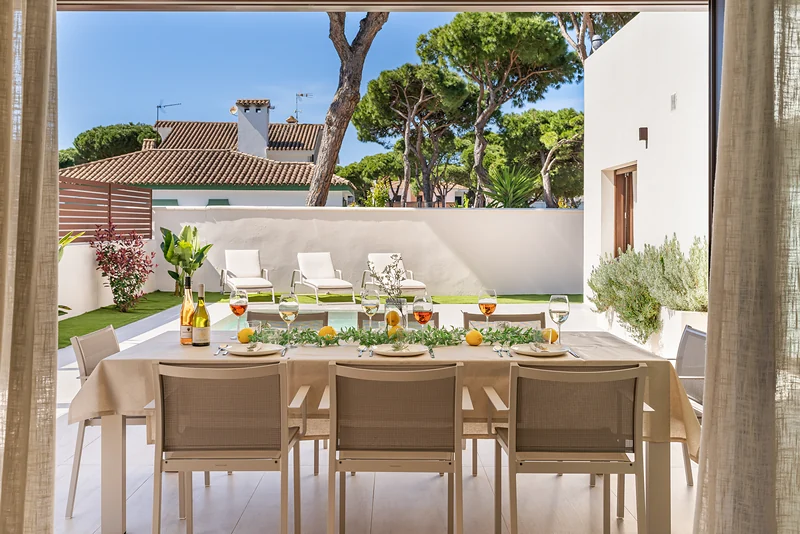 Long table in the garden under pine trees