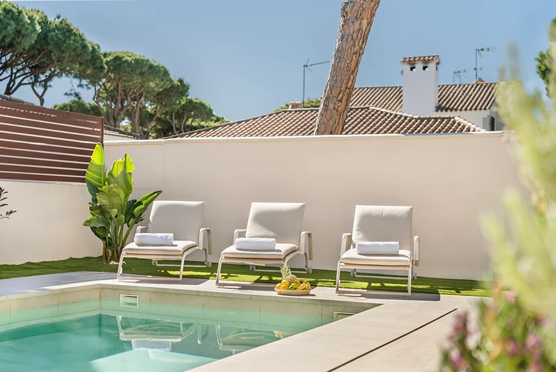 Loungers and pool in the garden